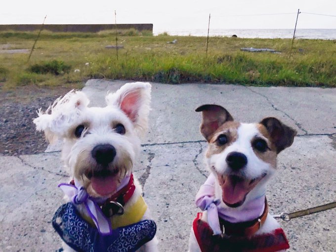 夢のような日々はあっという間なんです。
(明日埼玉に戻ります) 