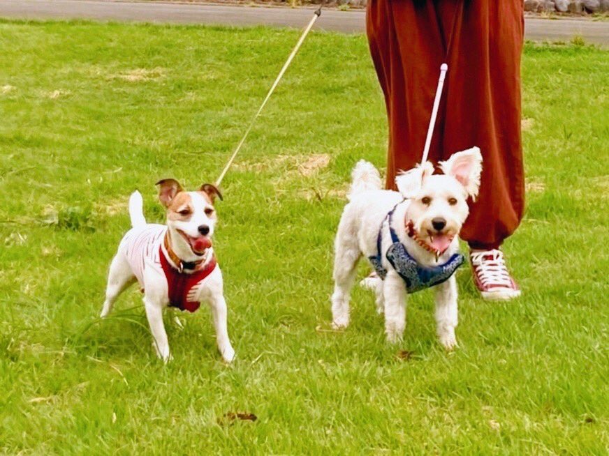 夢のような日々はあっという間なんです。
(明日埼玉に戻ります) 