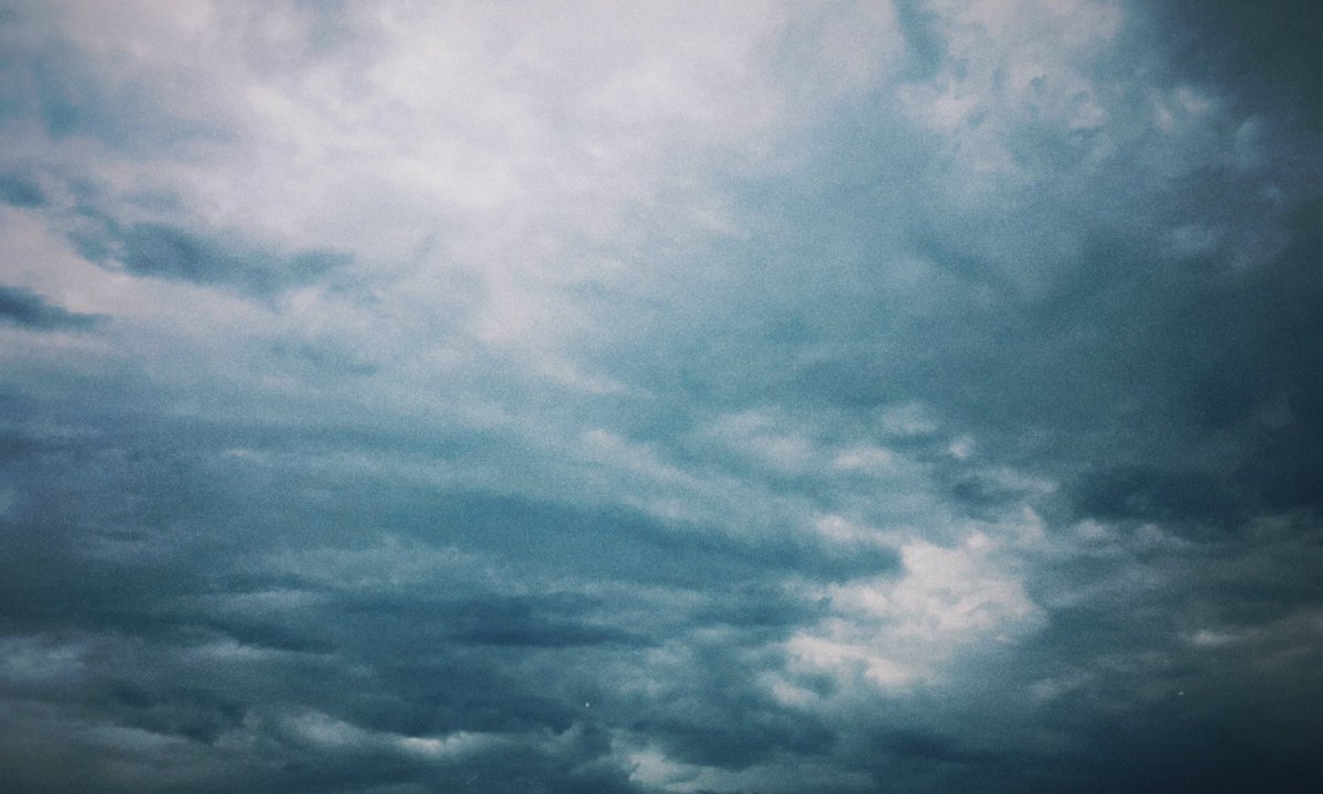 BehavioralInst's tweet image. 