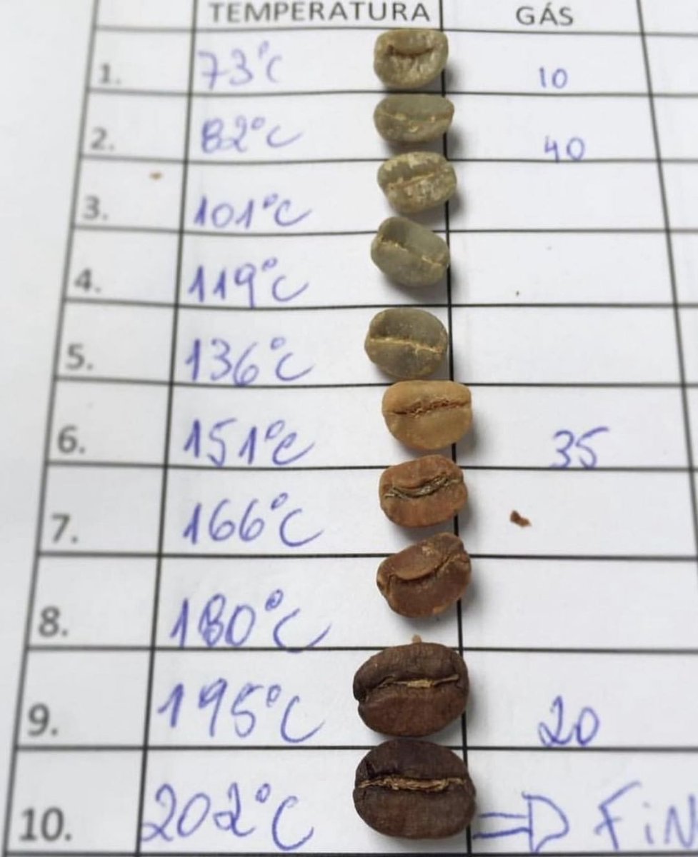 coldhotdrinks's tweet photo. Bean development stages by the degree in a roaster. ๐ก๏ธ
ยฉ๏ธ: @alternativebrewing (IG) & @cafeaoleu
#coffeebeans #kaffeebohnen #bohnen #kaffee #coffeebean #coffeetemperature #coffeeroaster #swisscoffeeroaster #coffeeroasters https://t.co/BGIdRN7L35