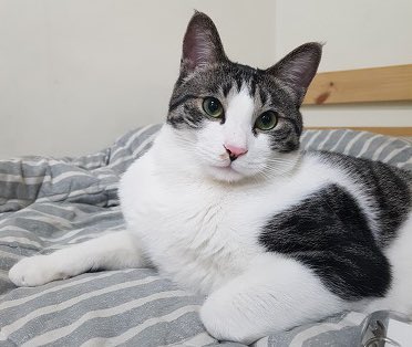 핑 (@lwoer123123) on Twitter photo 