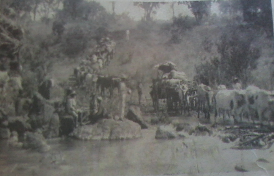Zimbabwe Archives tweet media