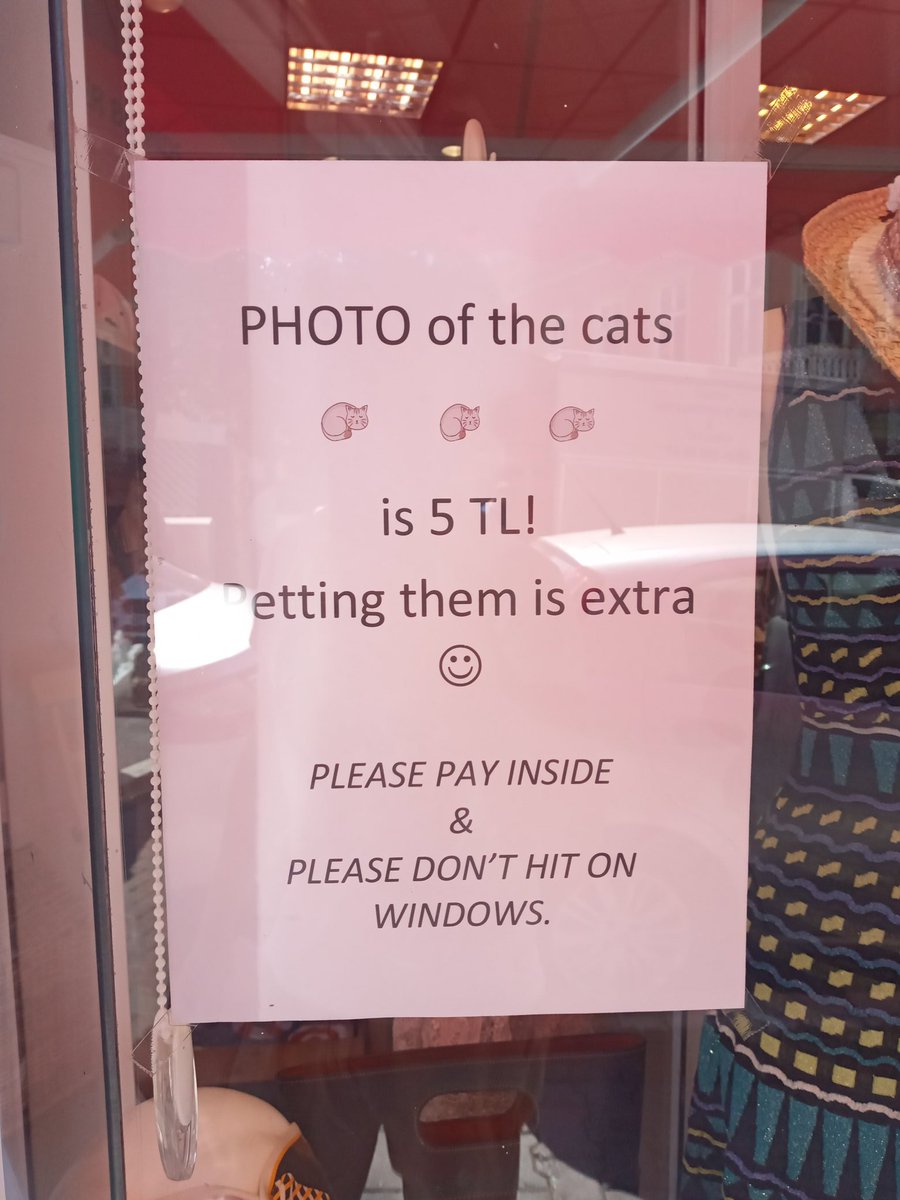 inanck2's tweet photo. Camekandaki kedi ya da Sgk sız işçi çalıştırıyorum duyurusu...#payinside #donthitonwindows https://t.co/VXlvWs0k8D