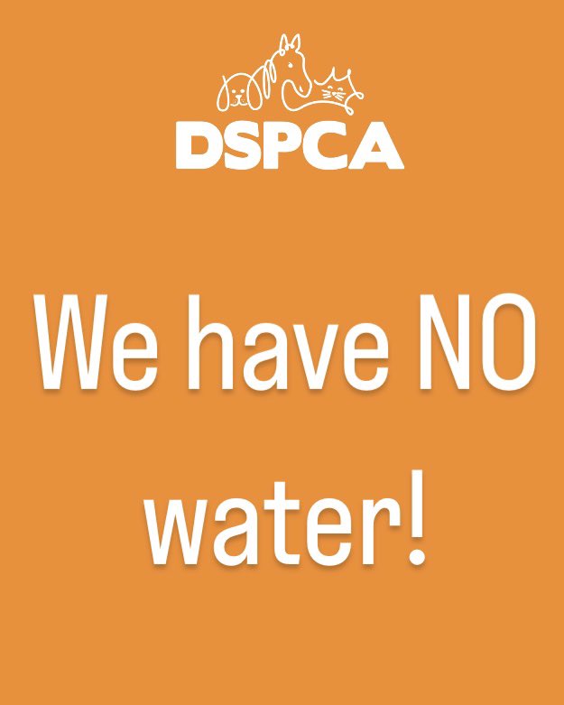 DublinSPCA's tweet photo. Could someone from @IrishWater please call the shelter back! We are in urgent need of a tanker with water for all the animals as we have now run out of our reserves! #urgent #water #dogs https://t.co/AMKtoba0an