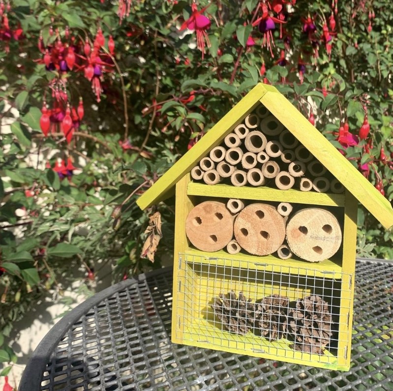 ParcTrostre's tweet photo. Teach your kids to make friends with wildlife this summer by making your garden a haven for bees and other insects 🐝🐞🦋 @LoveWilko have lots of great insect houses to get you started! https://t.co/KxsdrFdK3D