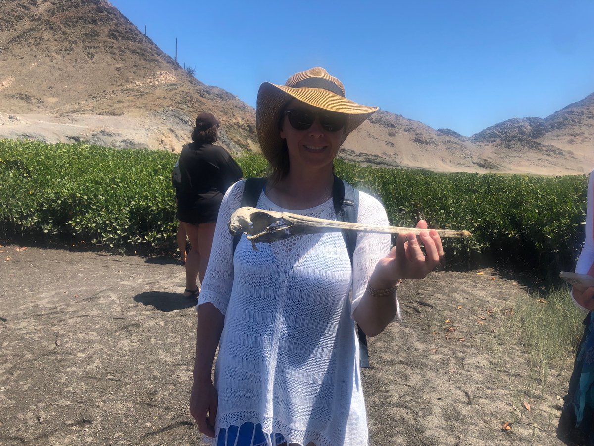 HathawayFGC's tweet photo. Congratulations to 2022 Barry Faculty Fellow Val Yarmesch on her travels to the Vermilion Sea Institute in Bahia de Los Angeles, Mexico. Understanding more about how computer science can aid marine biology.  
World-class faculty professional development at #HathawayBrown https://t.co/1zjXrRXiQQ