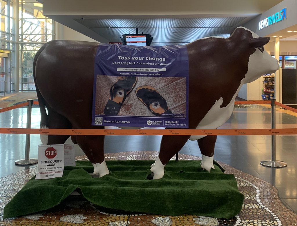 Doing what we can to raise awareness about #FMD locally. Thanks to Centralian Beef Breeders Ass, Tony & Alice Springs Airport, Roy Chisholm, Ben, Shannan, Regan @BowenLuke @NTCattlemen @NationalFarmers @meatlivestock