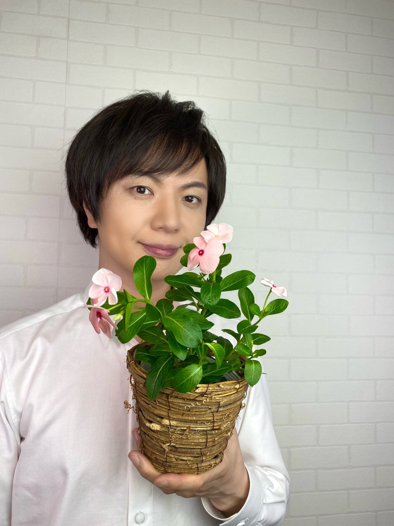 竹島宏スタッフ 公式 日々草 花言葉は 生涯の友情 日々 毎日が365分の１日 大切に過ごしたいですね 今日も１日お疲れ様でした ひろネット 花言葉 花便り 花 感謝 絆 T Co Mkb59x9lie Twitter