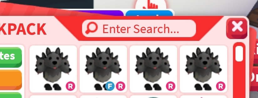 Stellalight_7's tweet photo. 800 followers Special Giveaway 🫶🏻

#adoptme 4 cerebus giveaway!!꒰⑅ᵕ༚ᵕ꒱˖♡

---- follow me with (🔔)
---- retweet w tag and like  
                        - Extra in thread 🧵 https://t.co/NMDEtPCDA8