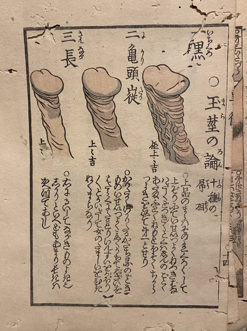 極上のマラの色は黒くて上反りで、熱気がすごくて亀頭は太くて根元は細くて力強いって、江戸時代の人が本に書いてた。 