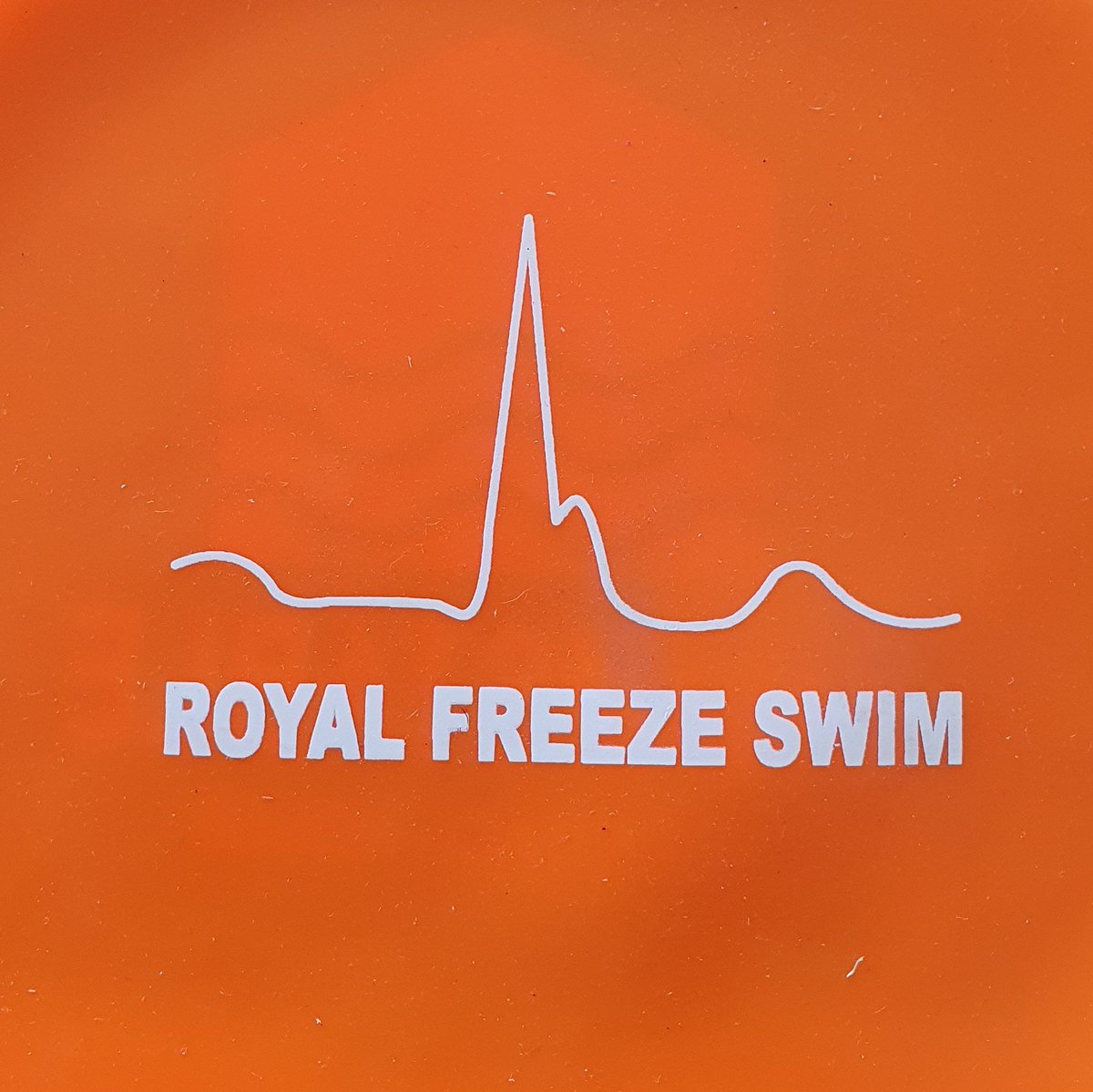 FreezeSwim's tweet photo. #NewProfilePic https://t.co/YqmqoEQQ6J