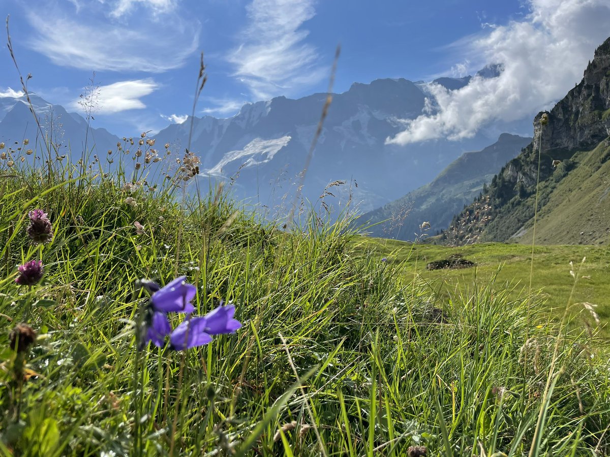 First day of hiking in the Berner Oberland.  #Switzerland #eiger #hiking
