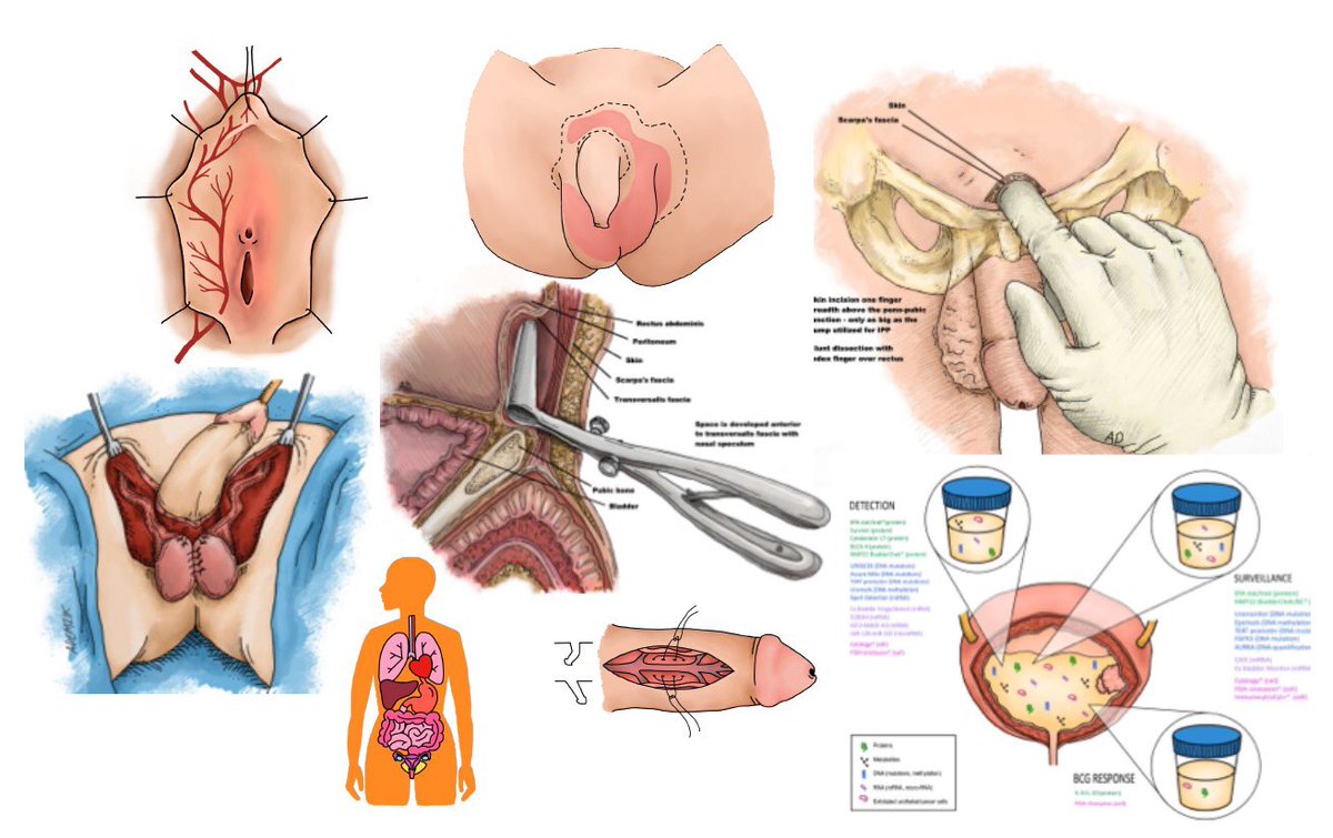 Alysen Demzik tweet media