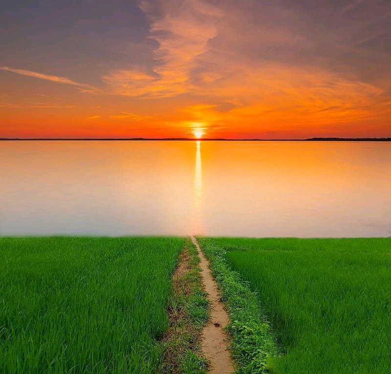 DubeyRiya2322's tweet photo. Bow Down to every Freedom fighter, Heard and unheard of, everyone who kept the flame &amp; Vision of independent Nation in their Hearts &amp; Actions.🙏🏻🙇🏻‍♀️ 
May the strength &amp; warmth of Bharat blossom as a Possibility for the world to become a #ConsciousPlanet #IndiaAt75 #स्वतंत्रतादिवस https://t.co/slB5wRNvoy