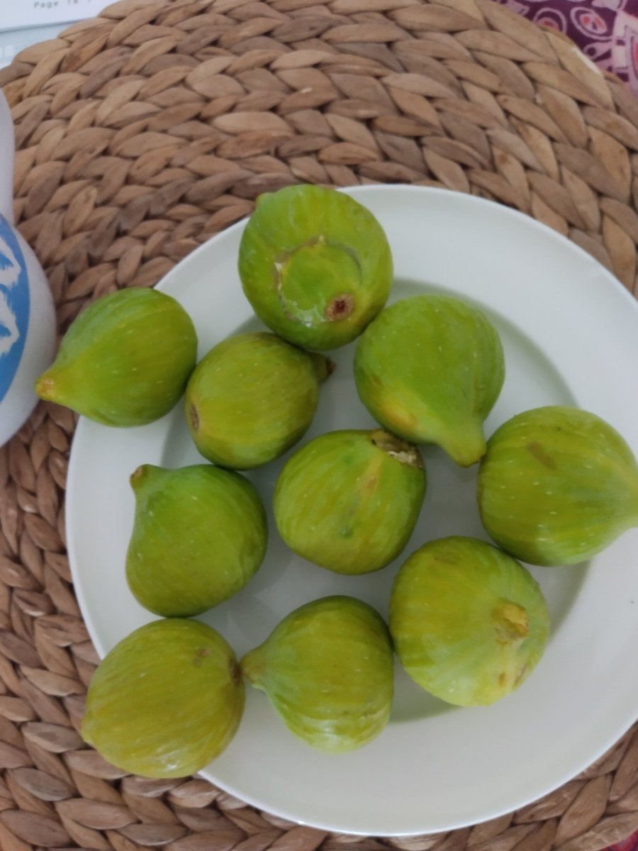 dawkins_sarah's tweet photo. Figs contain powerful antioxidants, anti cancer properties, antibacterial, antifungal, potassium, calcium and fibre. 
Figs help relieve constipation, reduce cholesterol, help with weight loss, are good for diabetics, the heart, bones and eyes and reduce blood pressure.
#freshfigs https://t.co/7XJwjPRrzG