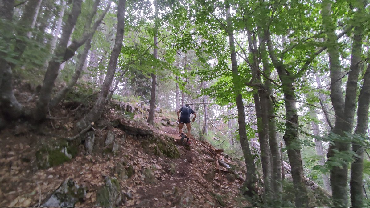 Εξερευνώντας τη νέα διαδρομή του Ρογκά!