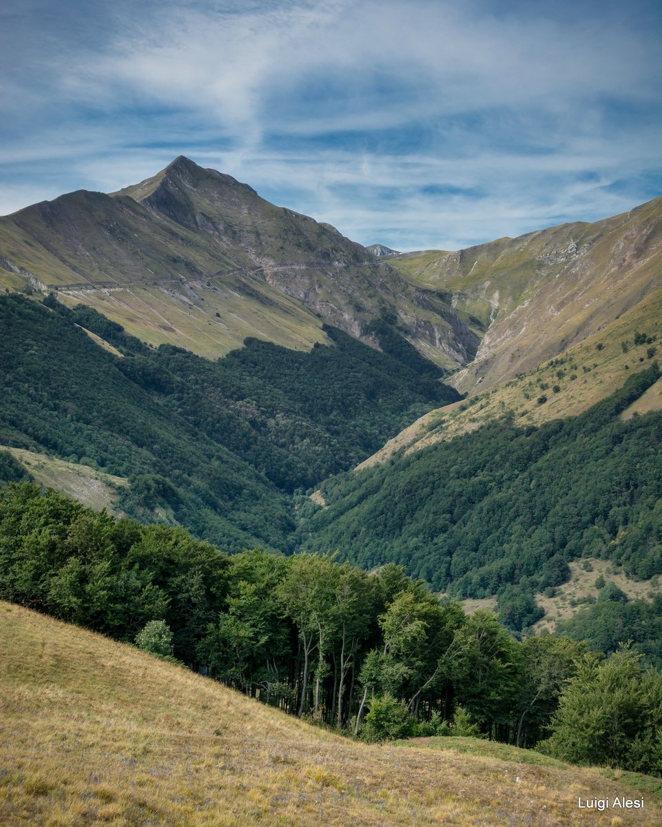 gigi62photo's tweet photo. Parco Nazionale dei Sibillini - Pizzo Acuto e valle del Fargno - Bolognola (MC)
#Sibillini #PizzoAcuto #Fargno #Bolognola #NatureFotografia #natura #trekking #Marche #hiking #escursioni #montagna #mountain https://t.co/jttmAQSPK8