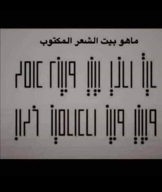 🦋F.a.r.i.d.a⁦⁦⁩🦋 tweet media
