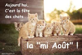 EmiTitiii's tweet photo. @Garance60 @elianguillez @Aleksine16 @LTSmash420 @JoliePoupee50 @JeanneAline9 @jeanleg46176347 @cresus1ier @lamascotte1 @chipo11290 @Eric13287047 @morettoburchi @_0296208093021 Bon lundi ma garance et à tous les ami e s 😘😊💕🇨🇵 https://t.co/te6bY9pTfD