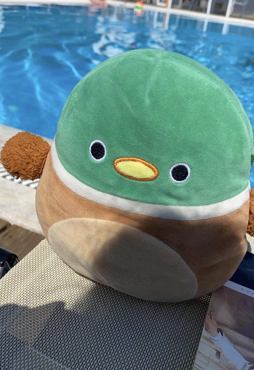 Selfie of me by the pool