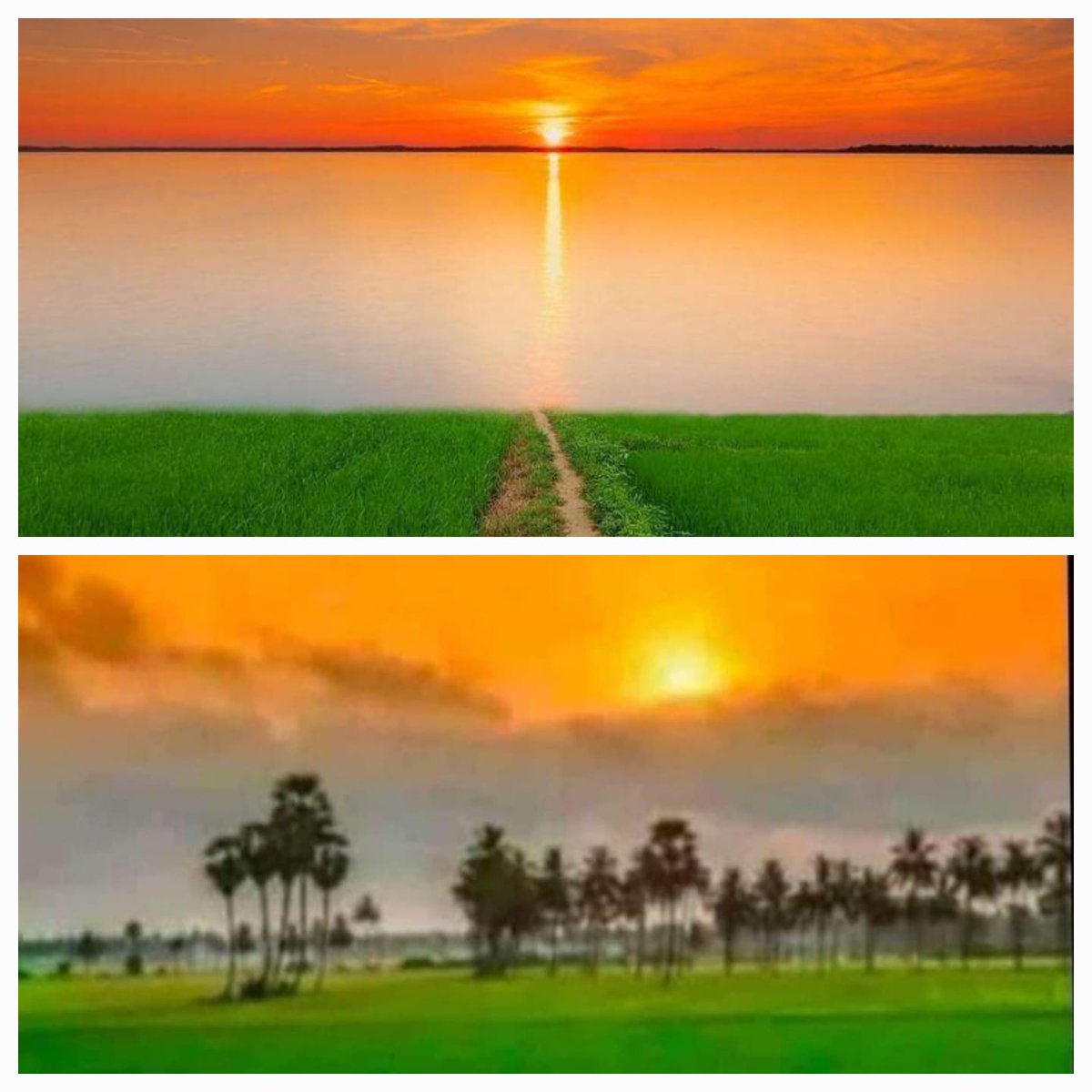 SanjeevArora_PB's tweet photo. Our Great Nation Flag Colours are seen in Nature!!
πππ
#Punjab #FlagColours #Nature #Nation
@BhagwantMann @harbhajan_singh @ArvindKejriwal @AAPNDGupta @raghav_chadha https://t.co/xPlv6FBzVs