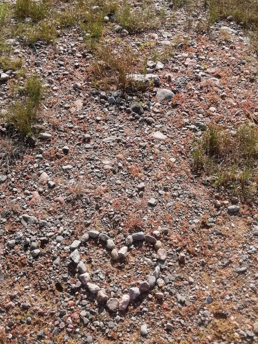 Suvianna_H's tweet photo. Viikko alkoi pyörälenkillä itäisellä rantareitillä 💚 liikunta ja luonto tuntuvat kuin laittaisi rahaa pankkiin! #pyöräily #hyvinvointi #metsä #meri #Kallvik https://t.co/iGmKuCJRw6