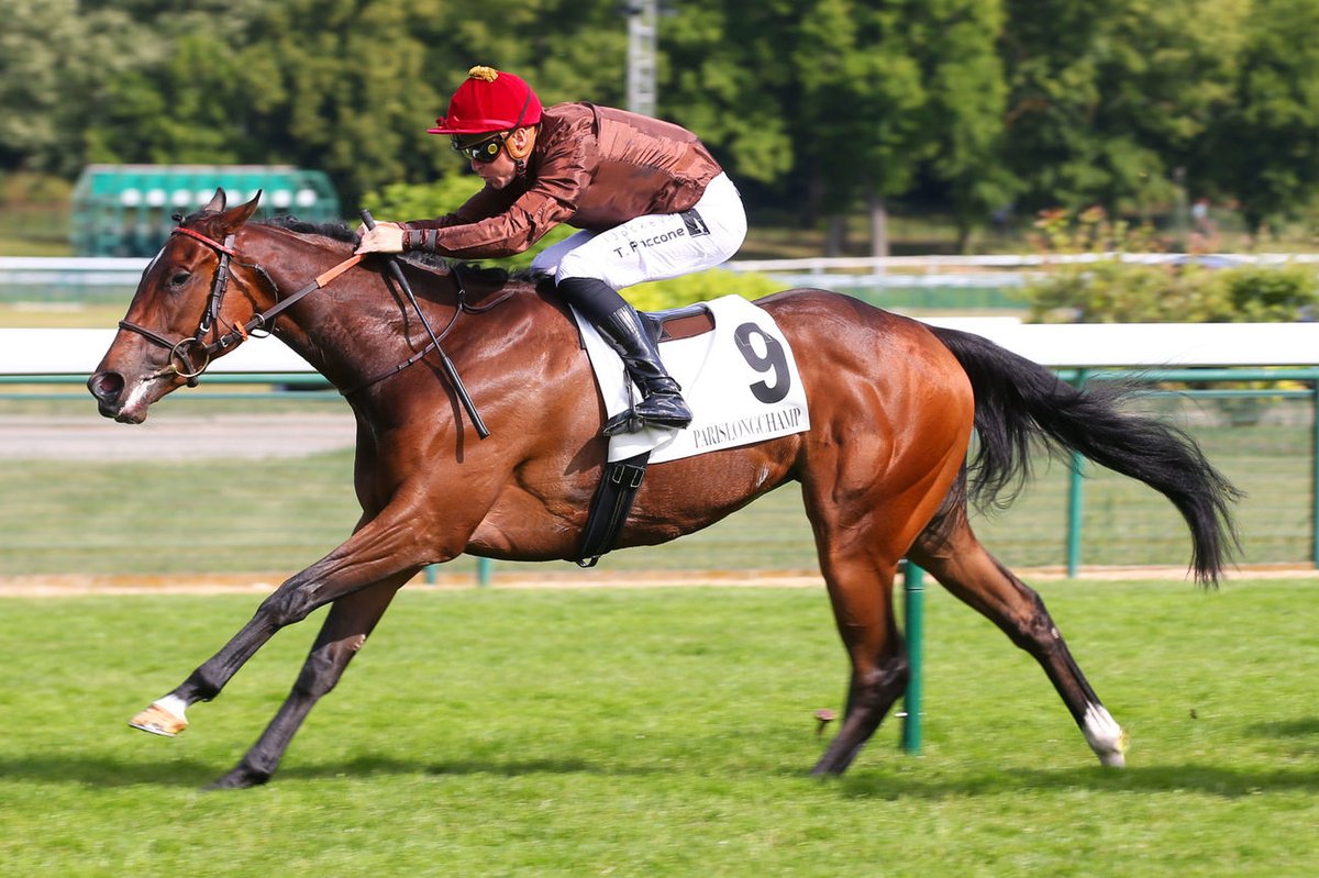 shanksponies's tweet image. 15.25 @fgdeauville | 🇨🇵 | R5

Samahram @GraffardRacing looks a worthy favourite after a troubled passage @Goodwood_Races
At the prices I'll take SLEVKA (E/W) 14/1 - well drawn, excellent 🥉here behind Sicilian Defense and unexposed at 1600M. @piccone_tony on board.
🏇🏇