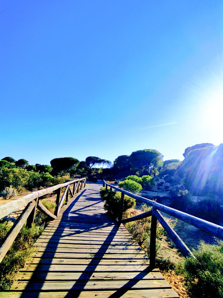 ToadSkin's tweet photo. Vierte cera, clava espuela y rasga el alba.

#salgamos al #frio de la #noche

Tiende capas luengas a mi paso.

@AsocParqueDunar @MatalascanasHoy @MejorPlaya @playadedonana https://t.co/9nHE8rlkDG