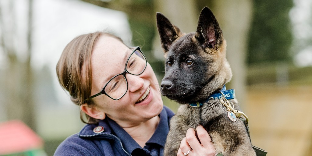 The_Blue_Cross's tweet photo. 🚨 Friendly reminder to check your pet's microchip detail. 🚨 This #CheckTheChipDay, double-check your phone number and address are up to date. ✔️ It could make a big difference one day. https://t.co/Sf0mycFnO2