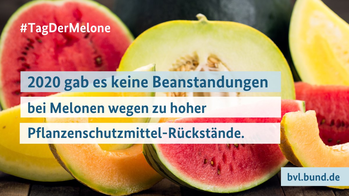BVL_Bund's tweet photo. Am Sonntag war #TagDerMelone 🍉🍈
Erfreulich für Verbraucherinnen und Verbraucher ist: Im Jahr 2020 wurde keine der untersuchten Proben von Melonen wegen zu hoher Rückstände von Pflanzenschutzmitteln beanstandet.
🔗 https://t.co/5gw6BhkHnZ https://t.co/8cXC6Qv4kE