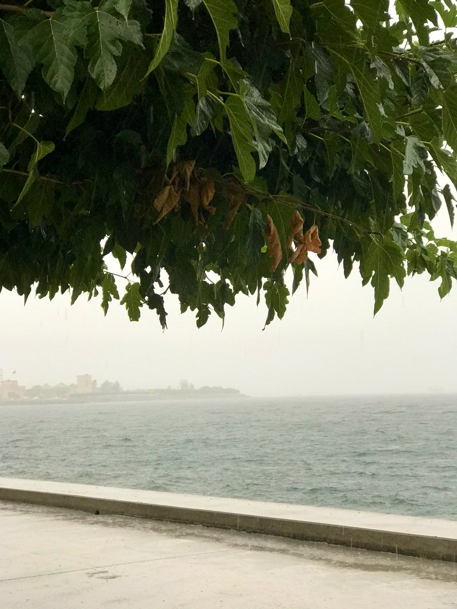 charmsbur's tweet photo. ⛈ https://t.co/hYPMTTEYrX