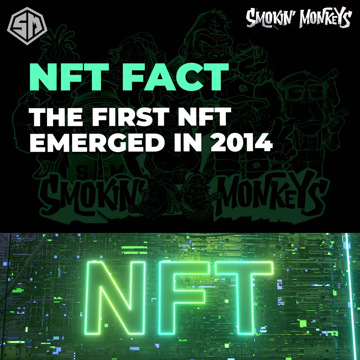 SMOKIN’ MONKEYS tweet media