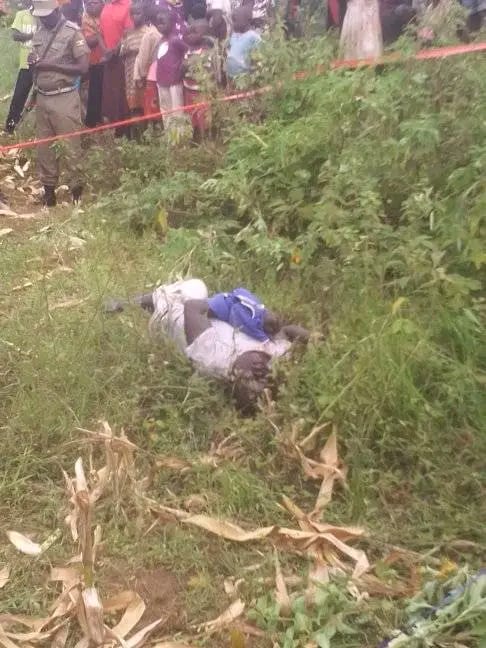 okadapausimon's tweet photo. A lifeless body of a man was on Monday morning found dumped in Bunampongo, Busano Road in Bungokho sub county. This is a fifth incident in two weeks. Where are we headed to @PoliceUg?
#EveryLifeMatters
#EndKillings https://t.co/PAOALC8kjS