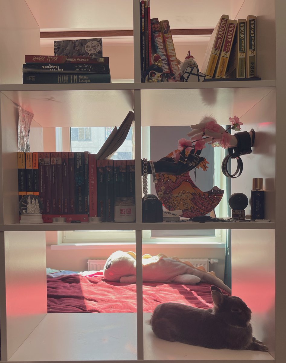 как будто все как надо