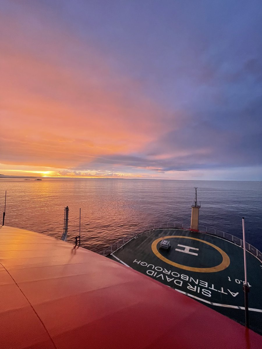 Dr Connor Bamford tweet media