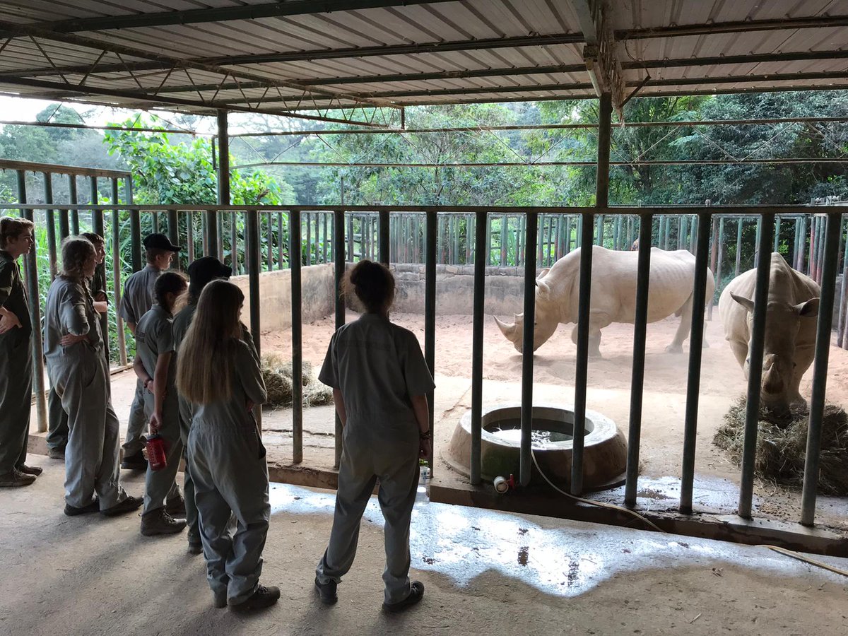 Camp Uganda tweet media