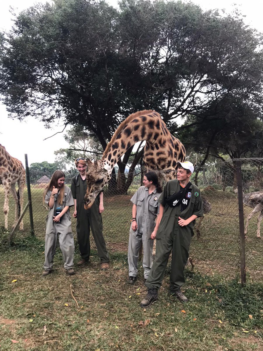 Camp Uganda tweet media