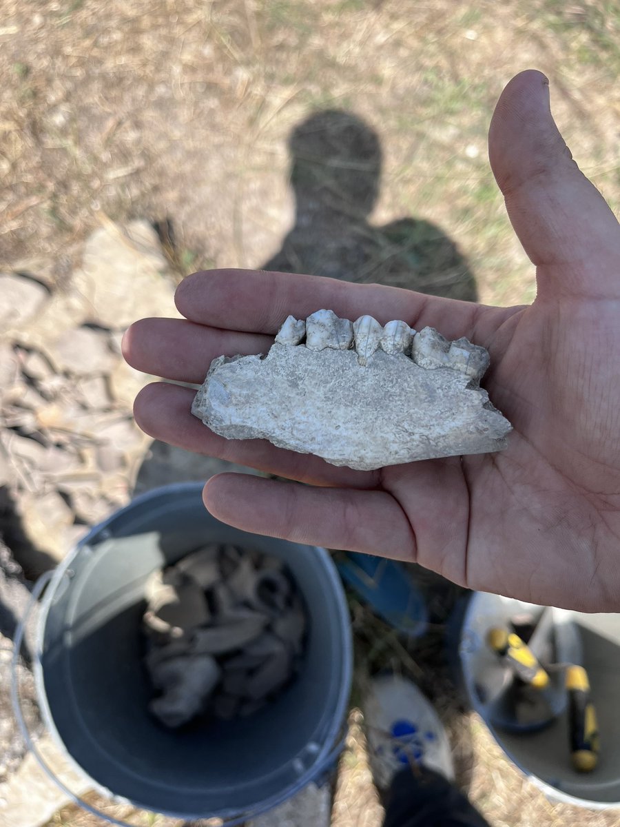 /Perdón por la ausencia. 

La excavación en Bulgaria me deja muerto. Pero os dejo alguna foto, aunque nonos importe  y ahora me voy a comer un desayuno turco que me va a hacer mi compañera de piso muak 😘