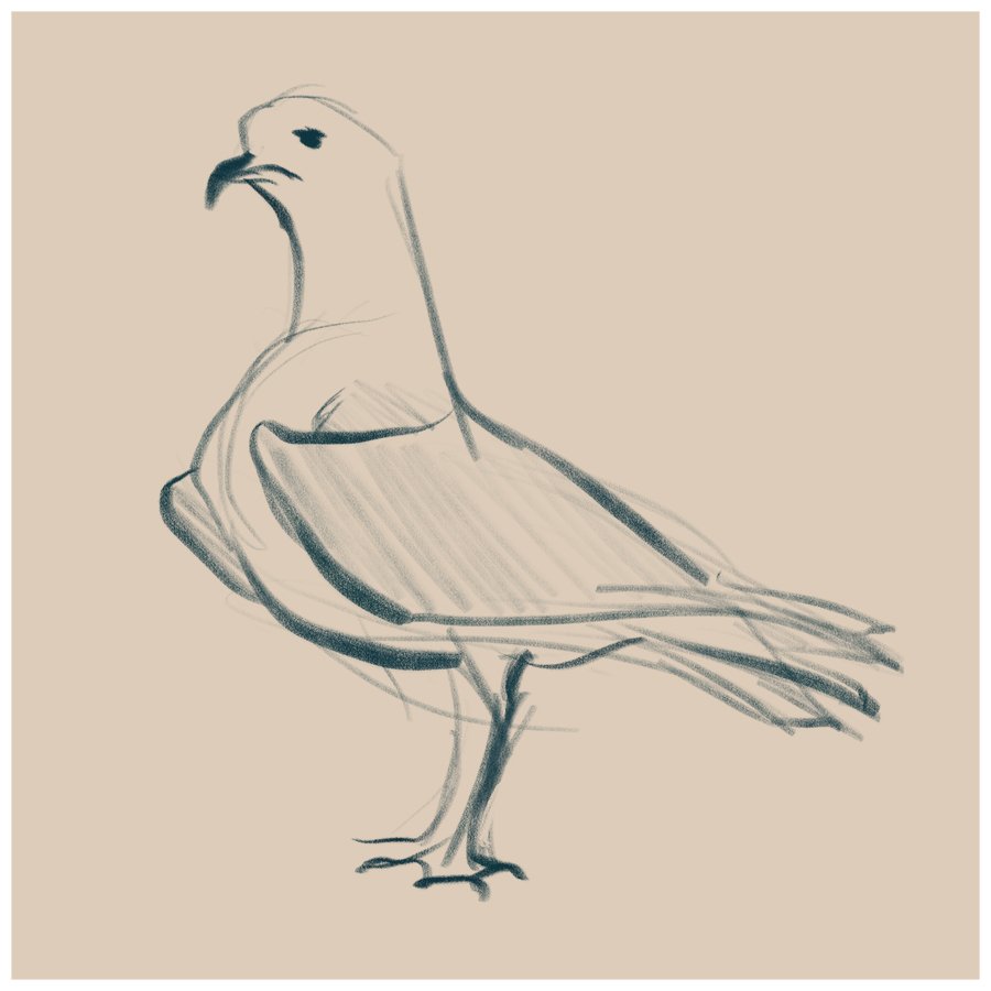 Doing a lot of bird pose practice sketches lately. (If you've got any full body bird photos you wouldn't mind me drawing please feel free to share! :D) 