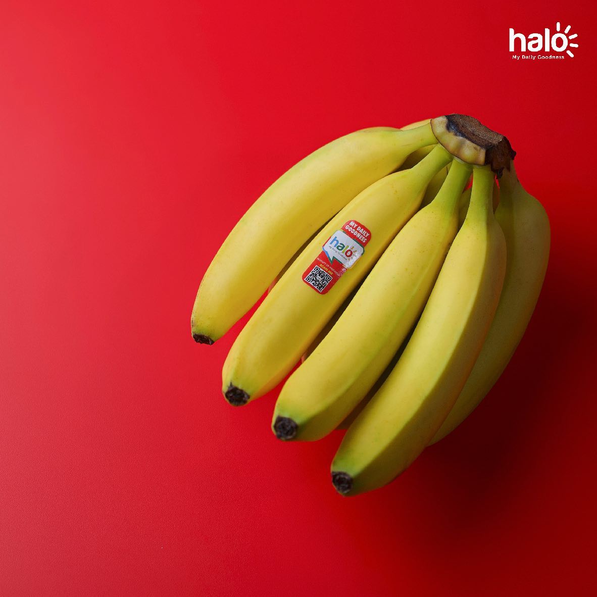 halofresh_id's tweet photo. Fakta-fakta menarik dari pisang

#halofresh #mydailygoodness #sharegoodness #delivergoodness #pisang #vitamin #superfood #banana #kecantikan #kesehatan #obat #natural https://t.co/fQuTkvKHn5