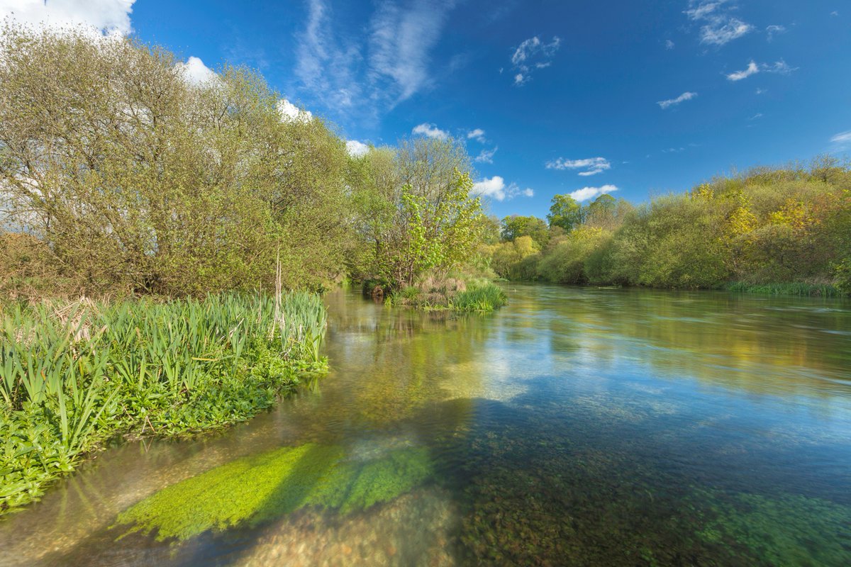 WCL_News's tweet photo. In the opening blog in our series on #LevellingUp water environments @theriverstrust explains changes that could help realise the potential of River Basin Management Plans to

🌊cut flood risk
💦lower pollution
🐟boost nature
🌤️build climate resilience 

https://t.co/mxQdYFqsaN https://t.co/zvObUMk2gr