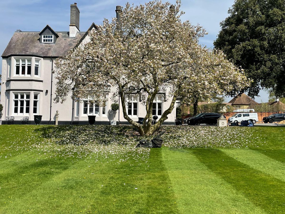 HayterMowers's tweet photo. This week’s #MondayMotivation comes from AGM Garden Maintenance on Facebook!
A beautiful home gets a beautiful lawn – just look at those stripes!
Get your #HayterMower:
https://t.co/9pEfcsHnL5
#StripedLawn #Gardening #Landscaping #Mowing #Mower #HayterMower #HayterArmy https://t.co/1DPZFrKEX9