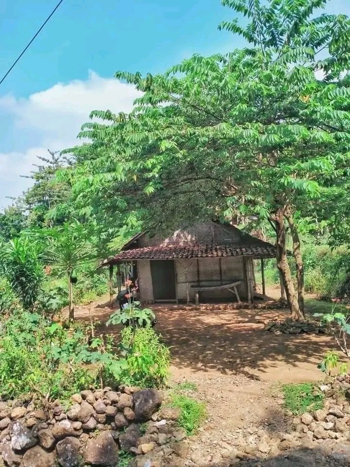 Rumahku adalah surgaku....,,

Masih adakah yg mau berteman dengan ku.....🙏🙏🙏