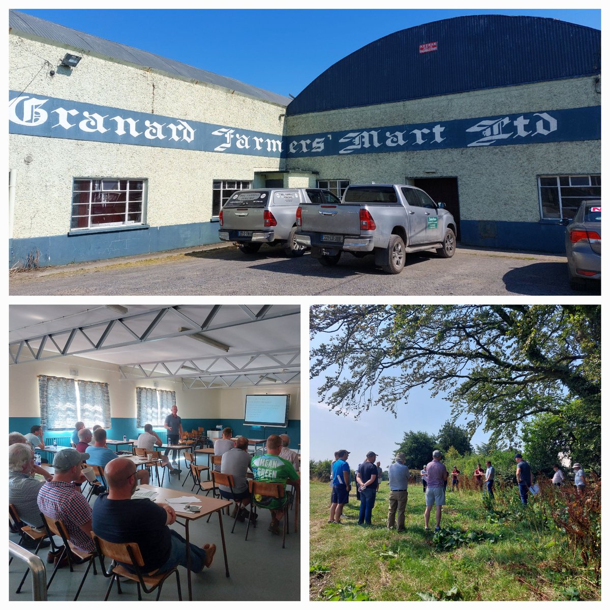 PollinatorPlan's tweet photo. Our Farmland Officer was invited to help deliver #farmlandpollinators and #farmlandbiodiversity training to farmers on their Agri-environment Training Scheme #AETS at Granard Farmers Mart this month. https://t.co/2R5IaxWQEf