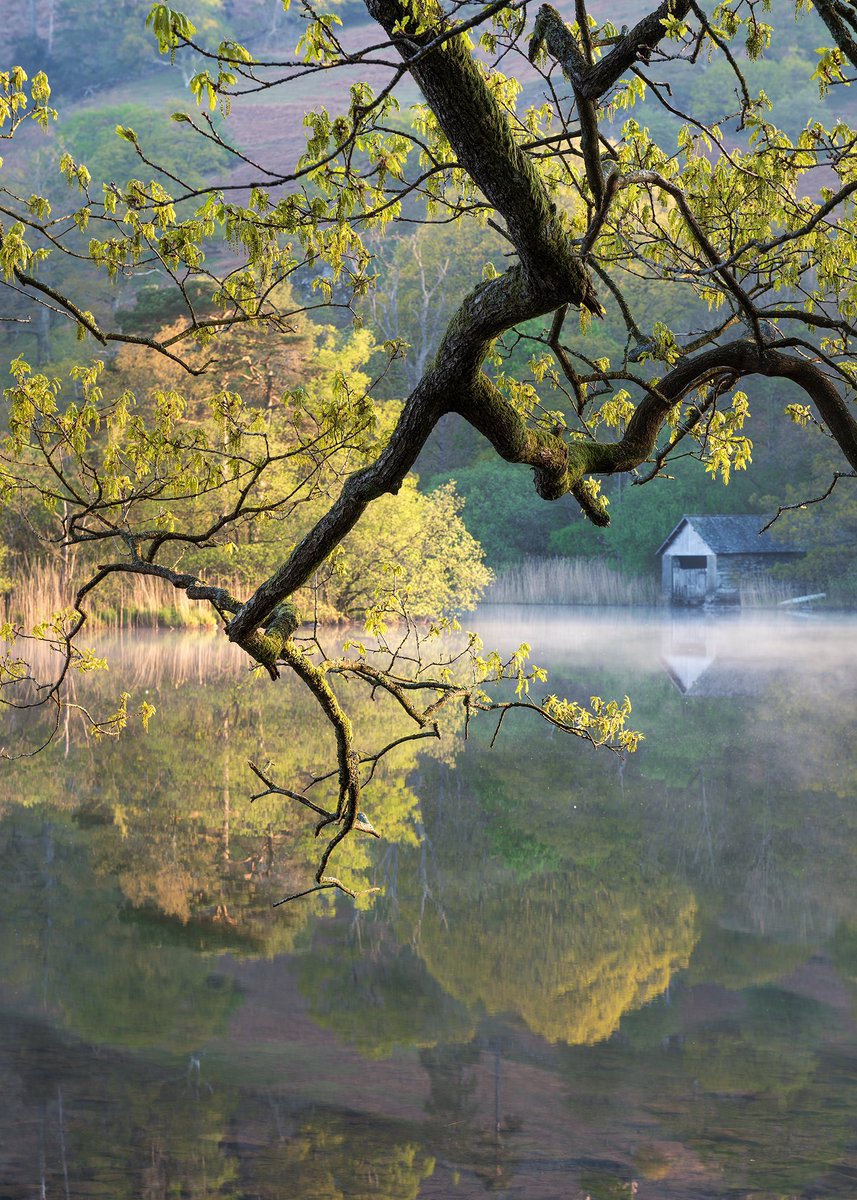 Daniel Kay tweet media