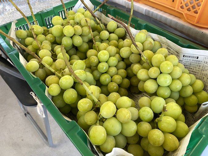 Twitterのコスプレ画像53