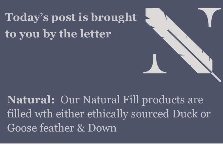 NorfolkFeather's tweet photo. Today's post is brought to you by the letter N.

There's a lot of technical terms in the sleep industry, which is why we've written a new blog to help you hit snooze on all of the jargon and Sleep Better with Norfolk Feather
➡️https://t.co/cryqP9zQCu

#sleepbetter #newblog #atoz https://t.co/ovHX8VD8Cc