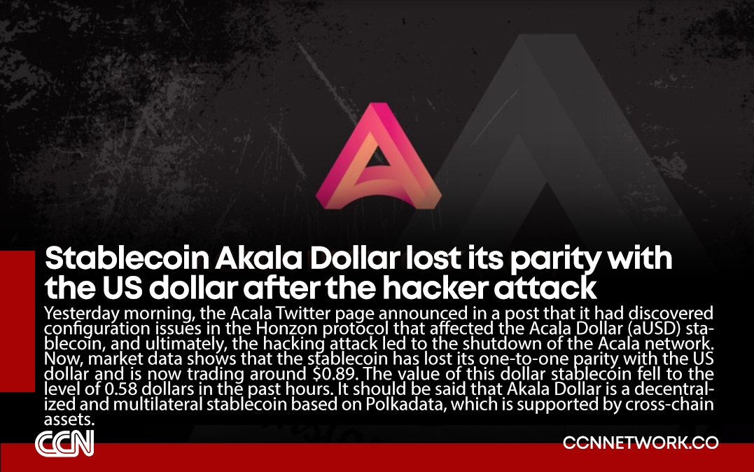 CCN.network (@ccnnet) on Twitter photo 