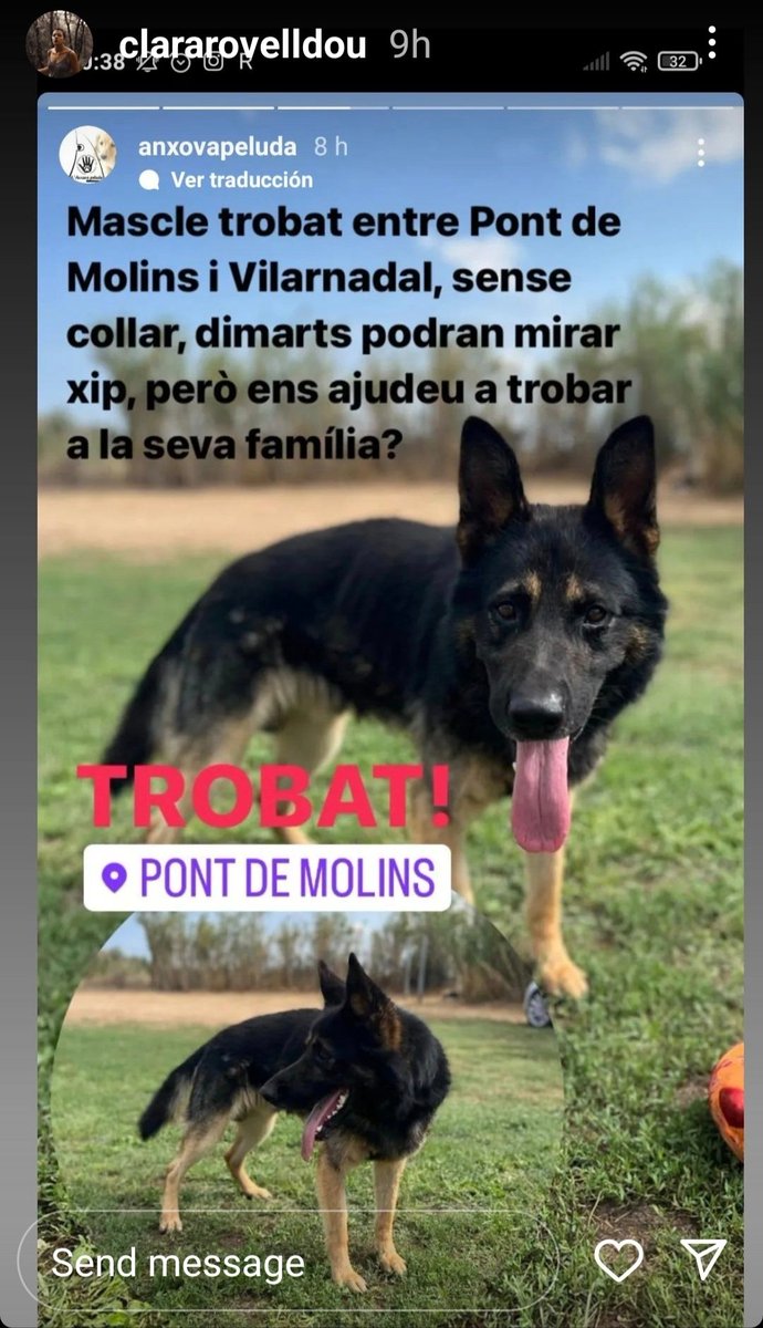 EnigmaheartTrue's tweet photo. Gossos trobats!
#AnimalsPerduts https://t.co/RYGvsfuL06