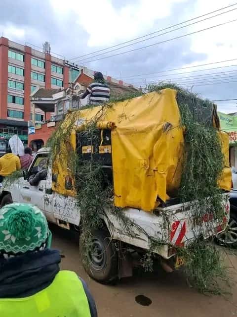 ArapTilingi's tweet image. Scenes in Eldoret, we have sinendet in plenty.